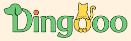 dingooo-store